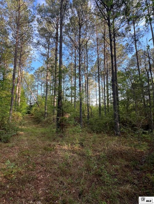 000 Fox Camp Rd, Eros, LA, 71238 | Card Image