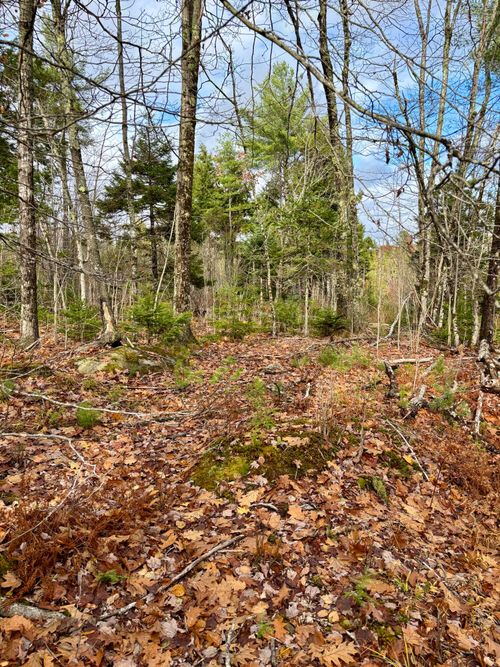 0 Millvale Road, Bucksport, ME, 04416 | Card Image