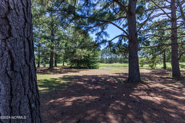 Photo by Coastal Carolina Photography | Image 25
