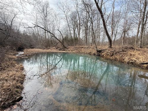 Tract 2 & 3 Off Madison 248, Fredericktown, MO, 63645 | Card Image