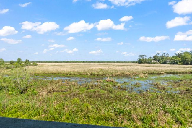 View of local wilderness with a water view | Image 29