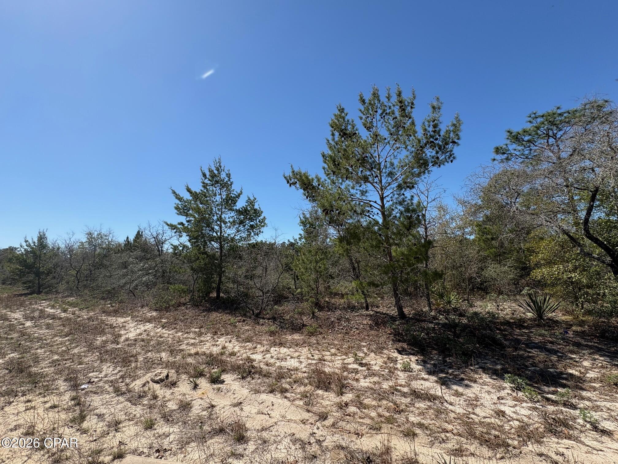 Land in Chipley 5