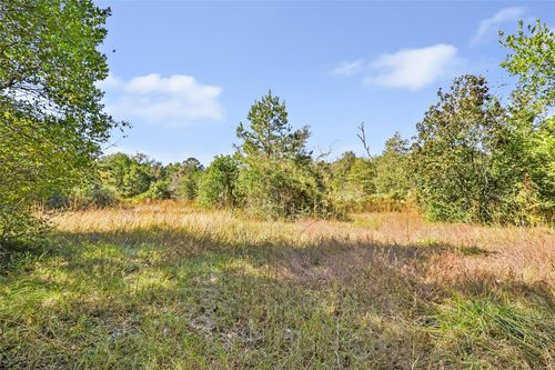 1224 Plum Pudding Rd, Livingston, TX, 77351-5031 | Card Image