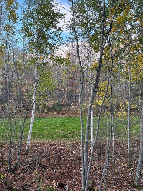 TBD Timberline Dr, Grand Rapids, MN, 55744 | Card Image