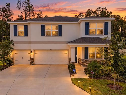 6847 Daintree Court, LAND O LAKES, FL, 34638 | Card Image