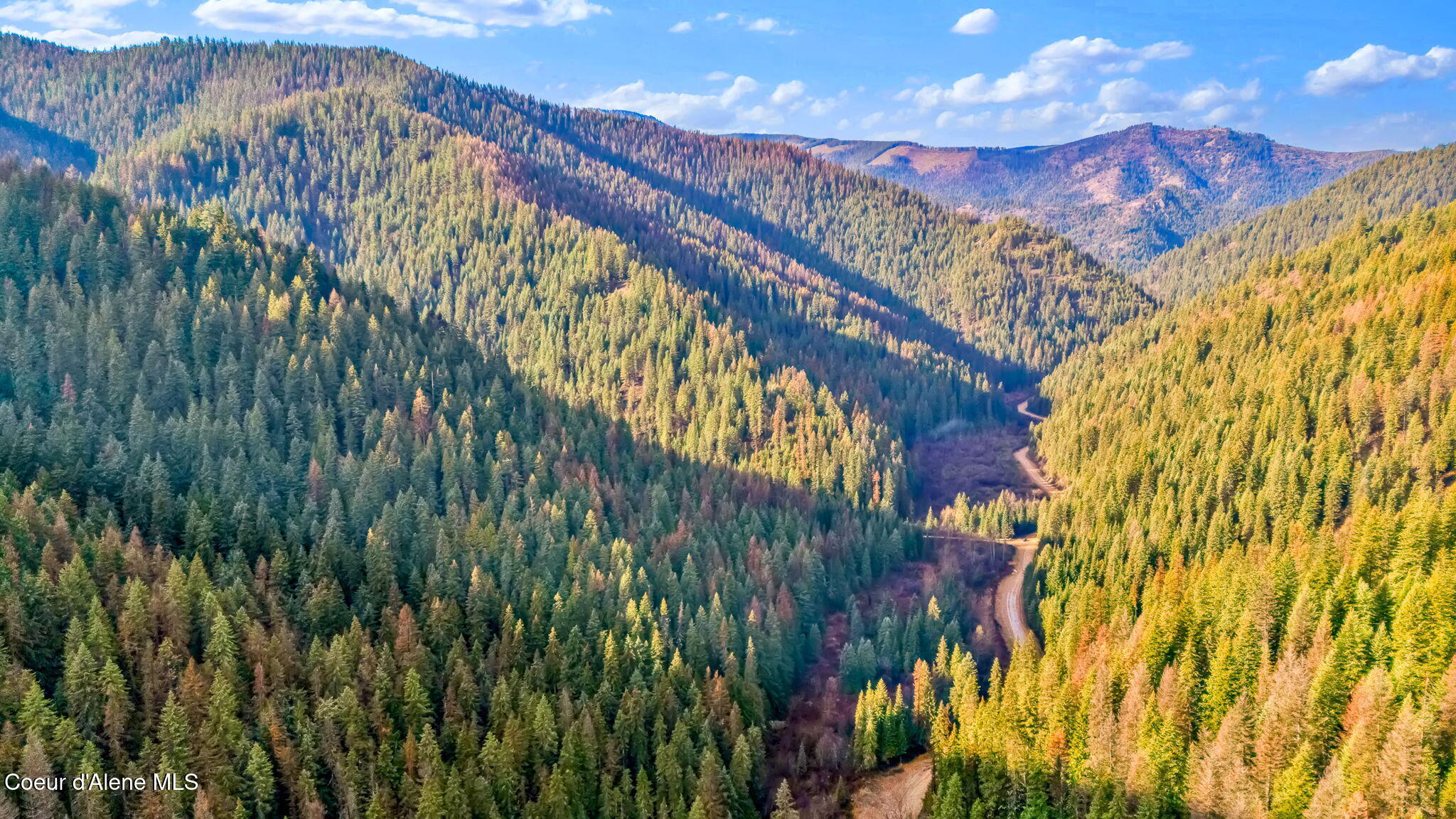 Land in Wallace 5
