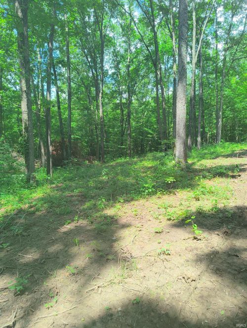 2500 S Coalmine Lot 2 Road, Bloomfield, IN, 47424 | Card Image