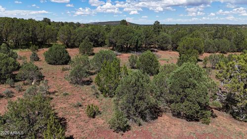5-19 County Road 3183, Vernon, AZ, 85940-0289 | Card Image