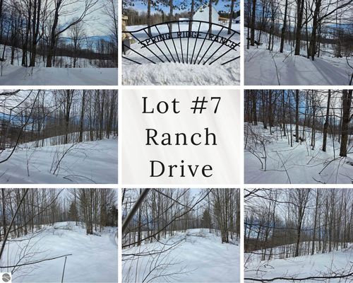 VL Ranch Dr, Bellaire, MI, 49615 | Card Image