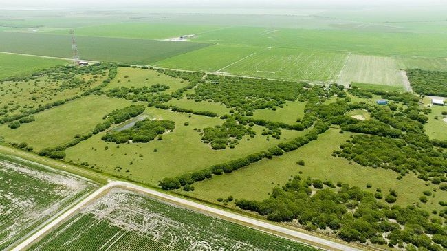 000 Old Gin Rd, Home with 0 bedrooms, 0 bathrooms and null parking in Bayside TX | Image 22