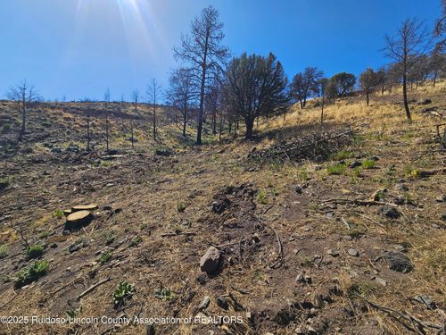 118 Whitney Dr, Ruidoso, NM, 88345-7118 | Card Image