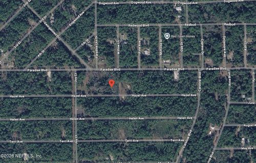 212 Hazel Avenue, Georgetown, FL, 32139 | Card Image