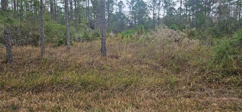 408 Pandora Dr, INDIAN LAKE ESTATES, FL, 33855 | Card Image