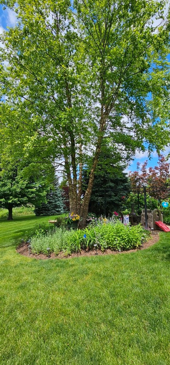 12941 Grande Poplar Cir, House other with 4 bedrooms, 3 bathrooms and 6 parking in Plainfield IL | Image 54