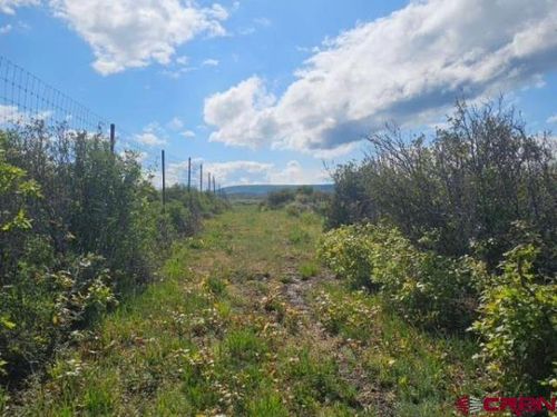 TBD 8250 Rd, Crawford, CO, 81415 | Card Image
