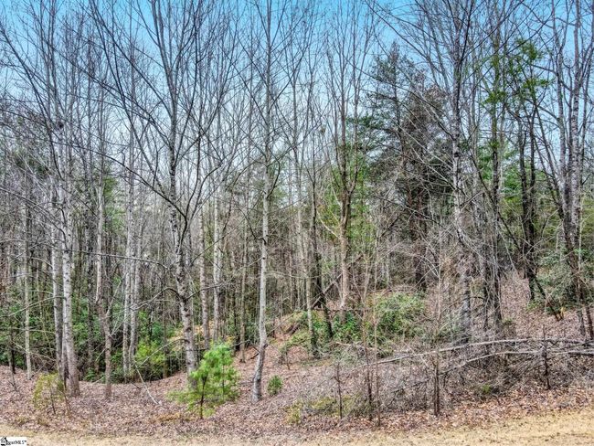 109 Wake Robin Dr, Home with 0 bedrooms, 0 bathrooms and null parking in Sunset SC | Image 16