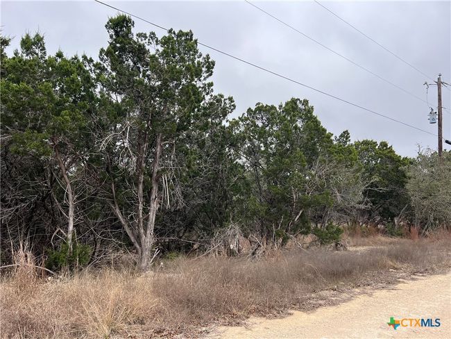 713 Stagecoach Trl, Home with 0 bedrooms, 0 bathrooms and null parking in Spring Branch TX | Image 5