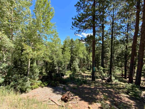 Lot 22 Taos Pines Ranch Rd, Angel Fire, NM, 87710 | Card Image