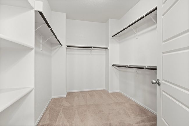 Walk in closet with carpet | Image 25