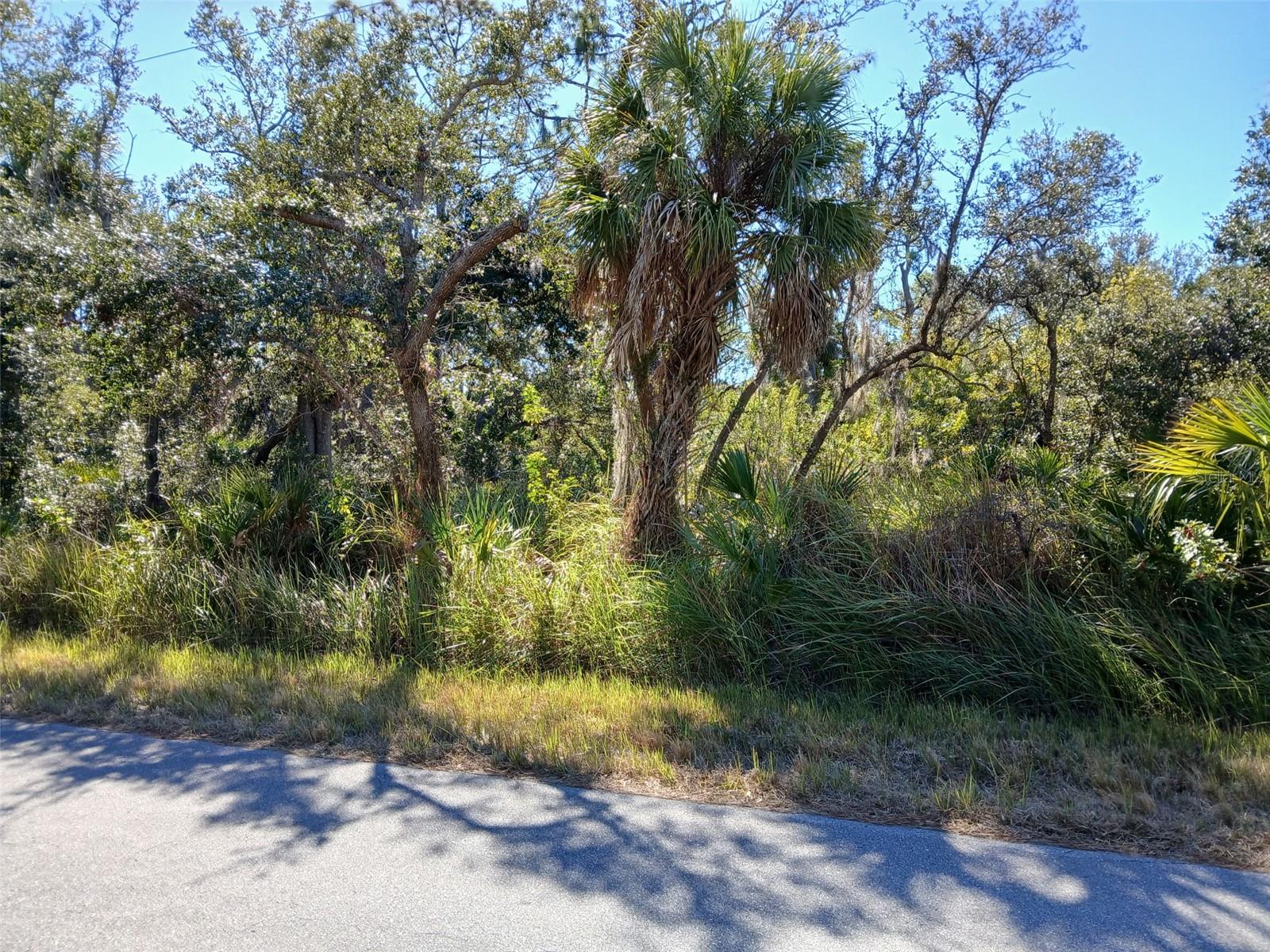 Land in PORT CHARLOTTE