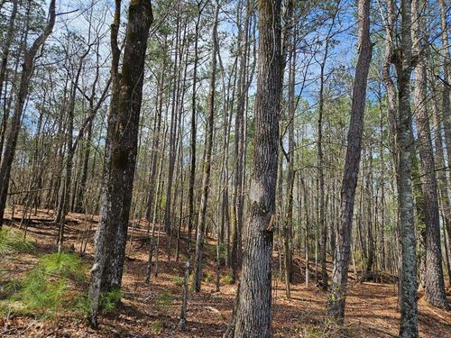 600 Mountain Brook Road, Fortson, GA, 31808 | Card Image