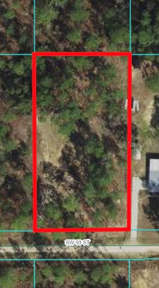 Lot 3 Sw 93 Rd St, Home with 0 bedrooms, 0 bathrooms and null parking in DUNNELLON FL | Image 6