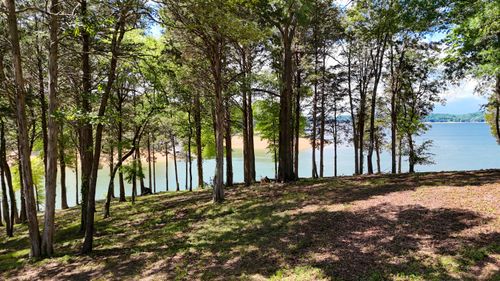 Lot 123 Ridge Point Trl, Dandridge, TN, 37725 | Card Image