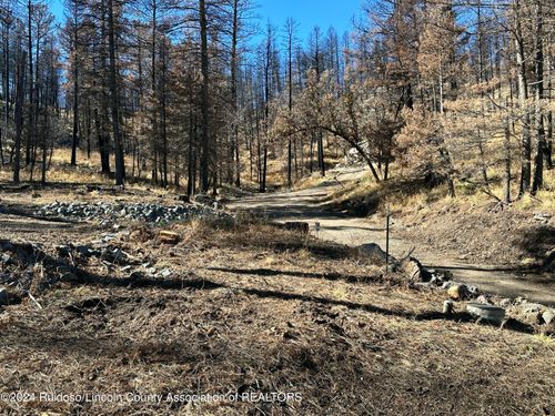 165 Jarratt Loop, Ruidoso, NM, 88345-9136 | Card Image