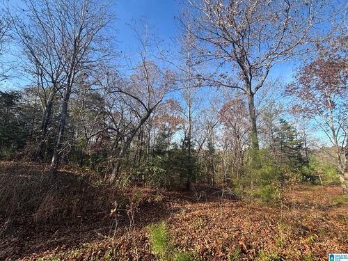 0-0 Smith Ln, Talladega, AL, 35160 | Card Image