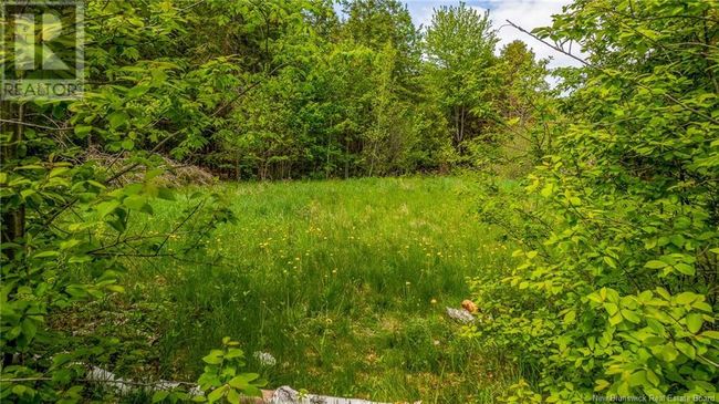 159 Pleasant St, Home with 0 bedrooms, 0 bathrooms and null parking in Saint Stephen NB | Image 4