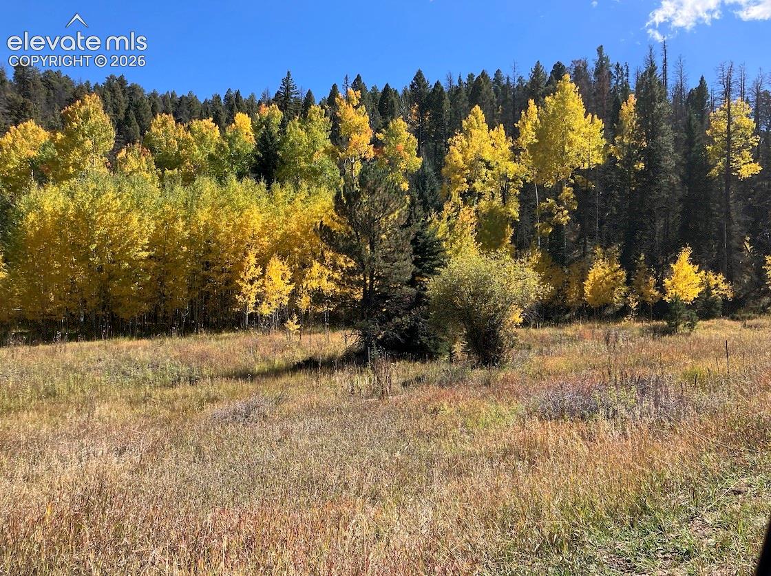 Land in Westcliffe 5