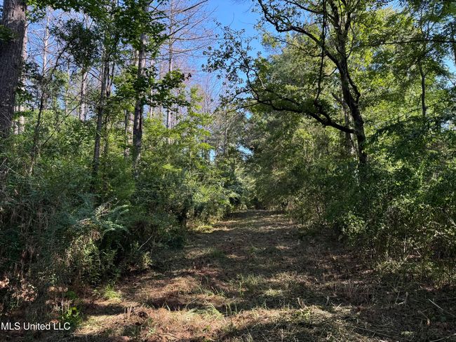 land-for-sale-lincoln-county-ms 4 | Image 11