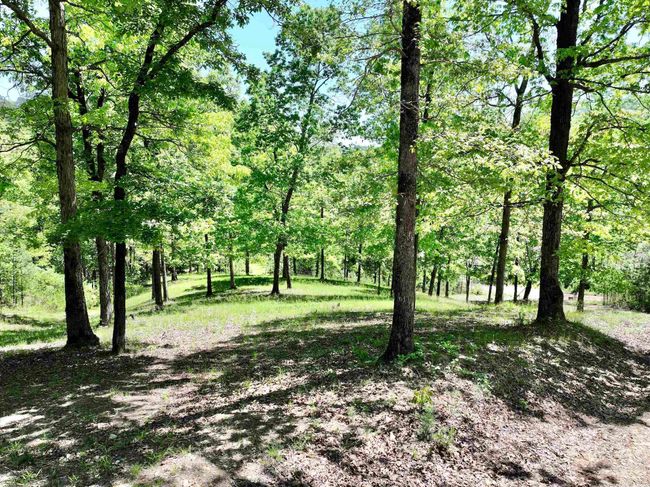 22 Turkey Valley Rd, House other with 2 bedrooms, 2 bathrooms and null parking in Kirby AR | Image 50