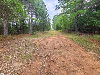 LOT-14 - 0 Dunklin Bridge Road, Home with 0 bedrooms, 0 bathrooms and null parking in Fountain Inn SC | Image 2