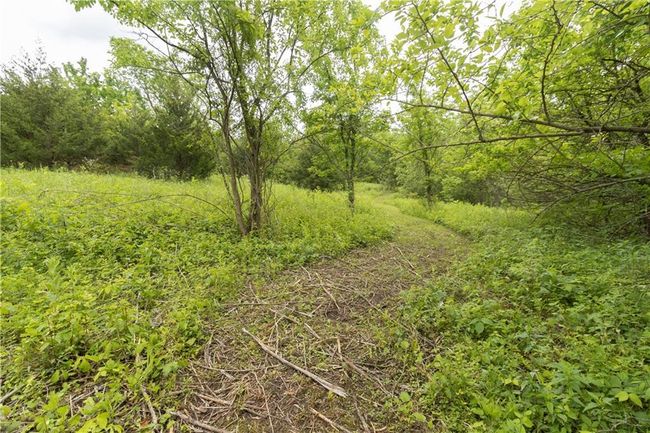 View of tree filled area | Image 19