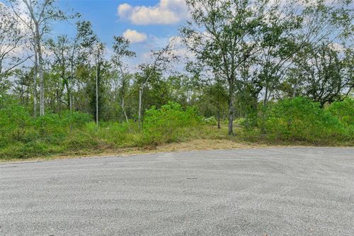 0 Live Oak St, Damon, TX, 77430 | Card Image