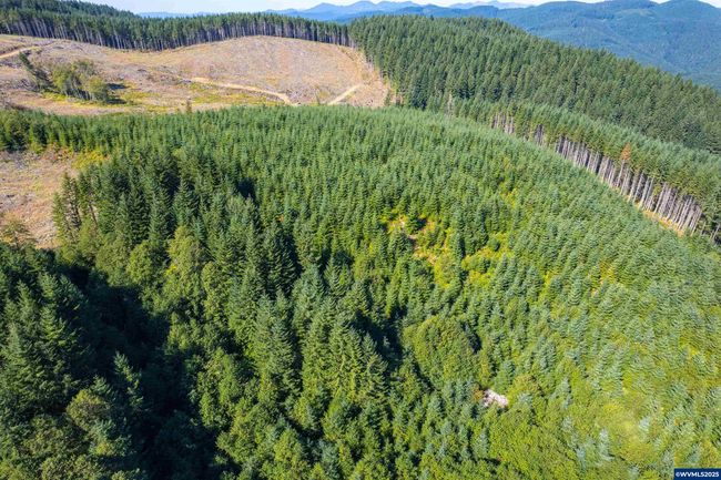 0 Bald Mountain Rd, Home with 0 bedrooms, 0 bathrooms and null parking in Beaver OR | Image 12