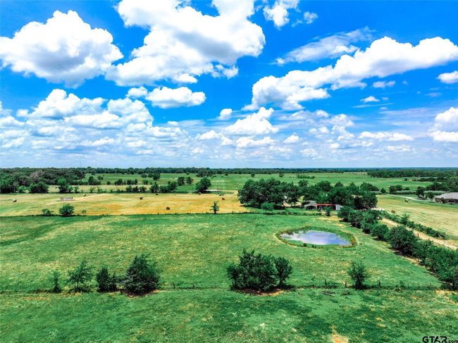 20 Acres County Road 3533, Home with 0 bedrooms, 0 bathrooms and null parking in Saltillo TX | Image 4
