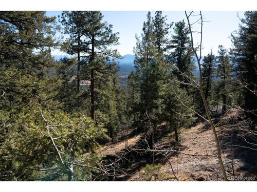 11722 Braun Way, Conifer, CO, 80433-7523 | Card Image