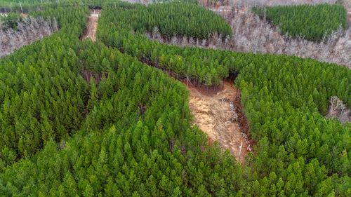 3960 Old Hohenwald Rd, Linden, TN, 37096-2107 | Card Image