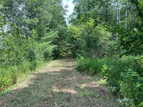 000 Cross Lake Rd, Pine City, MN, 55063 | Card Image