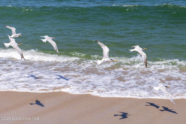 A701 - 5635 Highway A1a, Condo with 3 bedrooms, 3 bathrooms and null parking in Melbourne Beach FL | Image 74