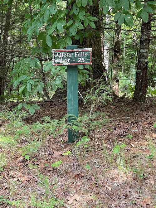 #25 Oleta Mill Trl, Hendersonville, NC, 28792 | Card Image