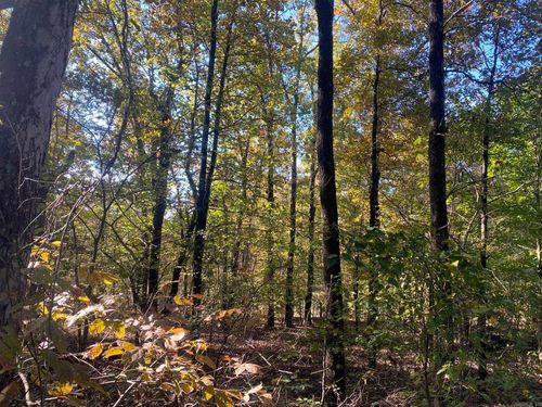 000 Jensen Rd, Mountain View, AR, 72560 | Card Image