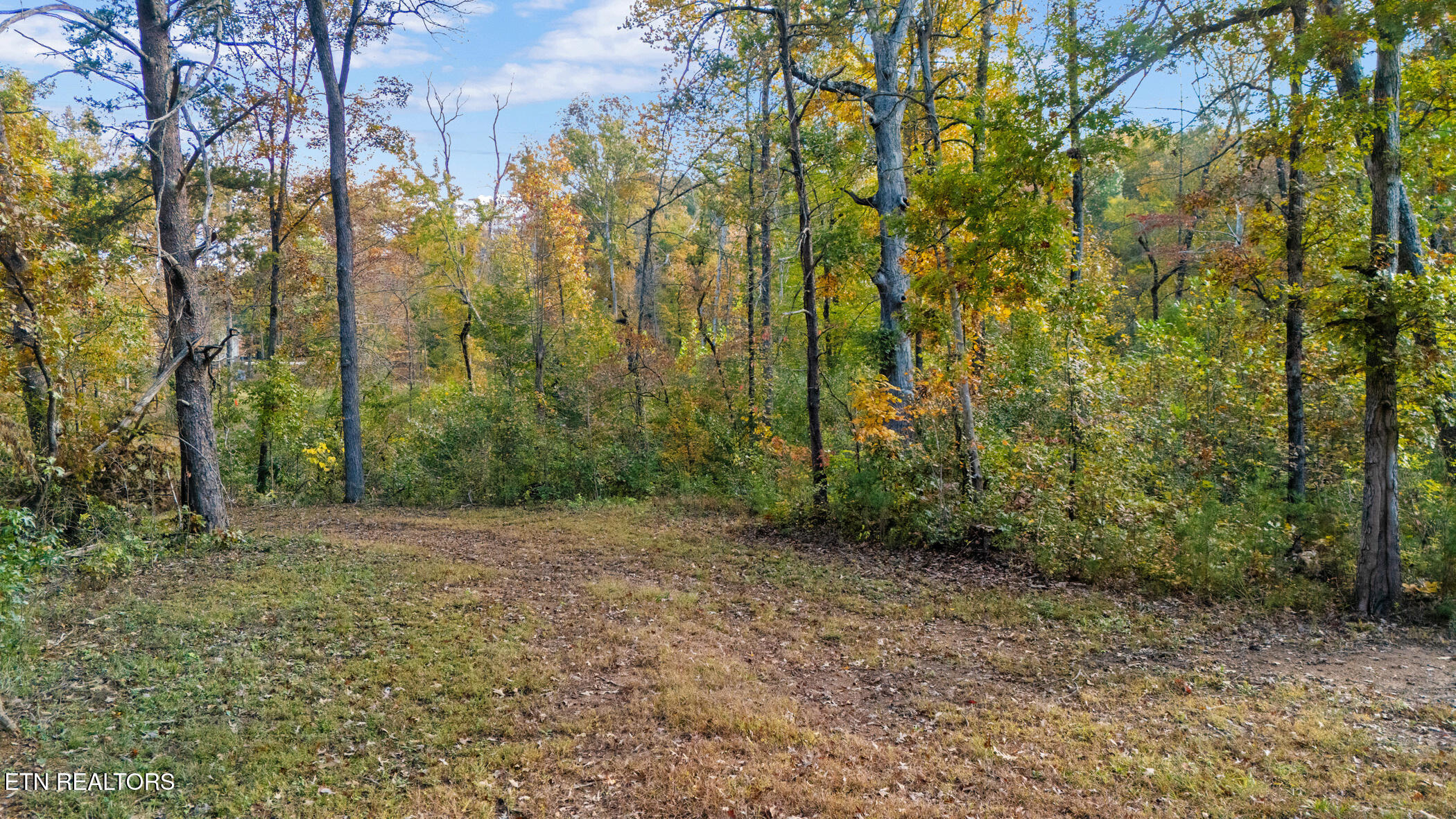 Land in Maryville 2