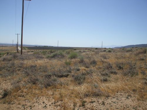 113 Nw Vic Ave K St W Avenue, Del Sur, CA, 93536 | Card Image