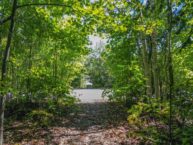 1078 Bellwood Acres, House other with 2 bedrooms, 2 bathrooms and 8 parking in Dorset ON | Image 34