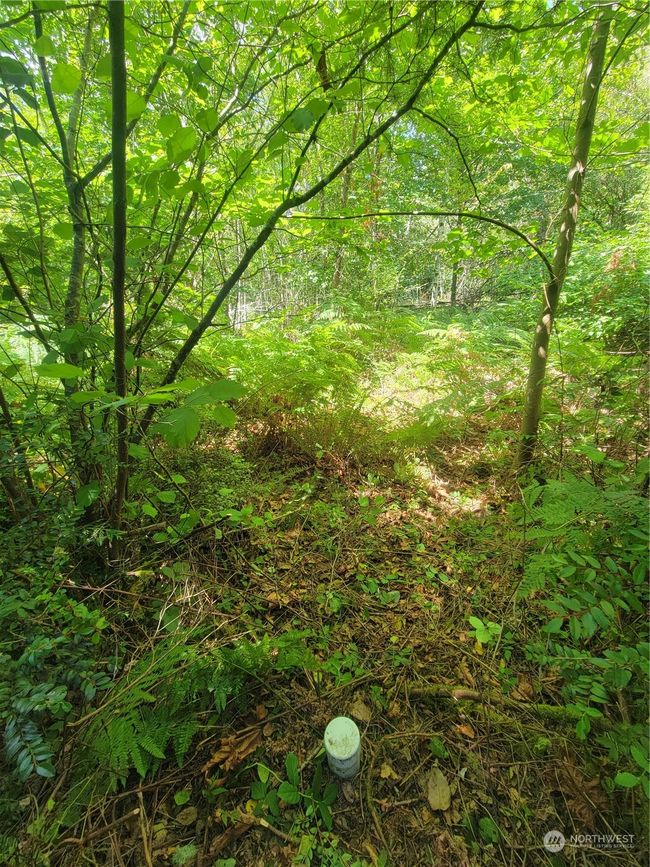 Septic installed | Image 11