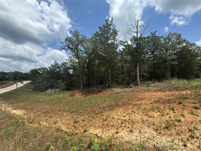 View of woods | Image 5