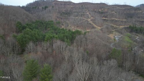 Tbd Orby Cantrell Hwy, Pound, VA, 24279 | Card Image